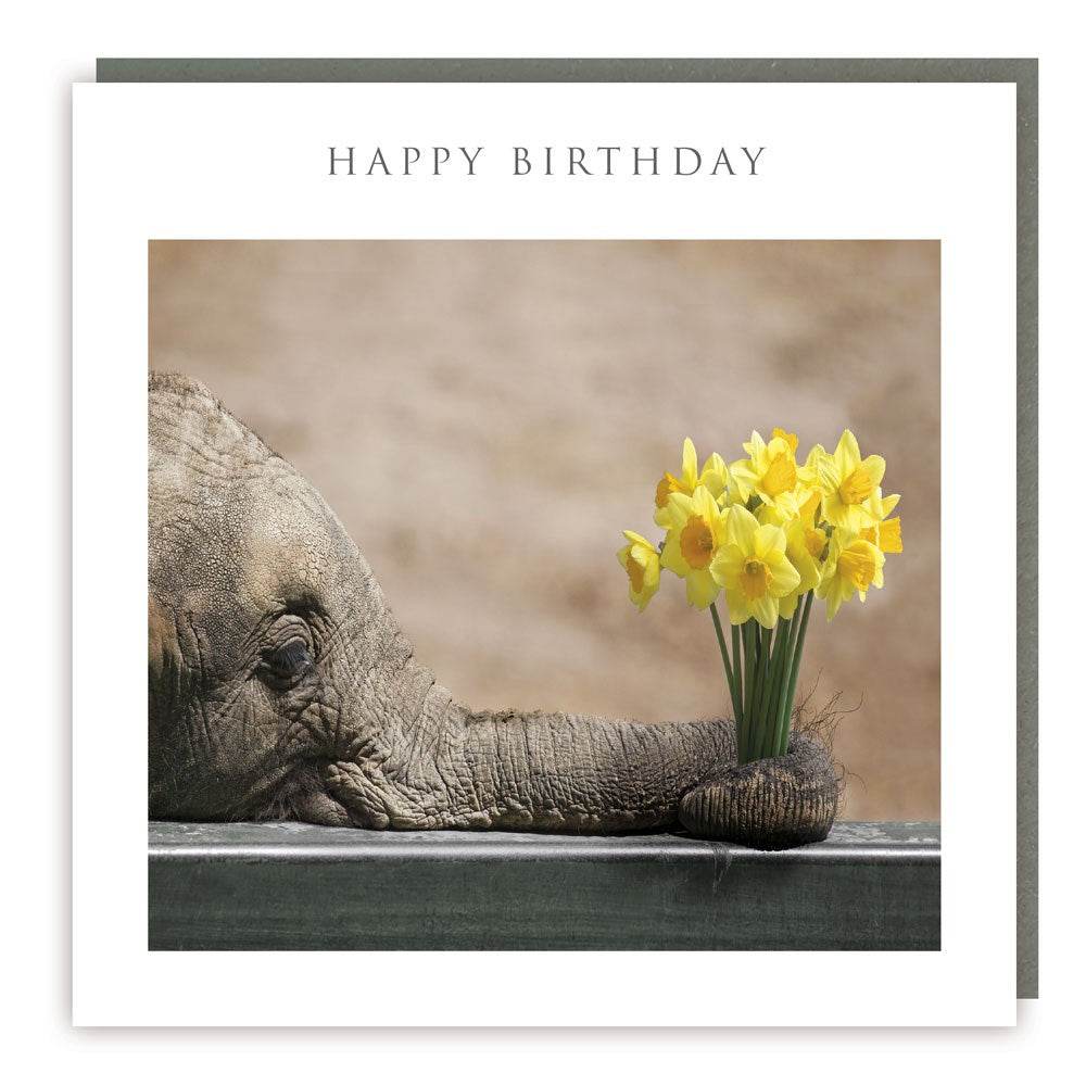 Elephant Flowers Happy Birthday Card - House of Cards