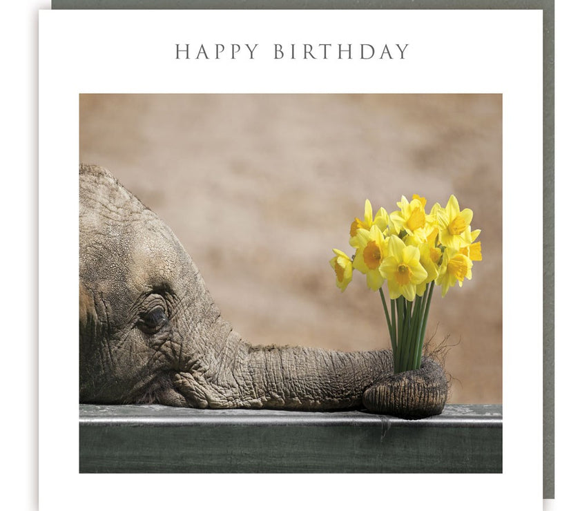 Elephant Flowers Happy Birthday Card