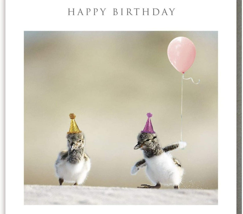 Party Penguins Happy Birthday Card