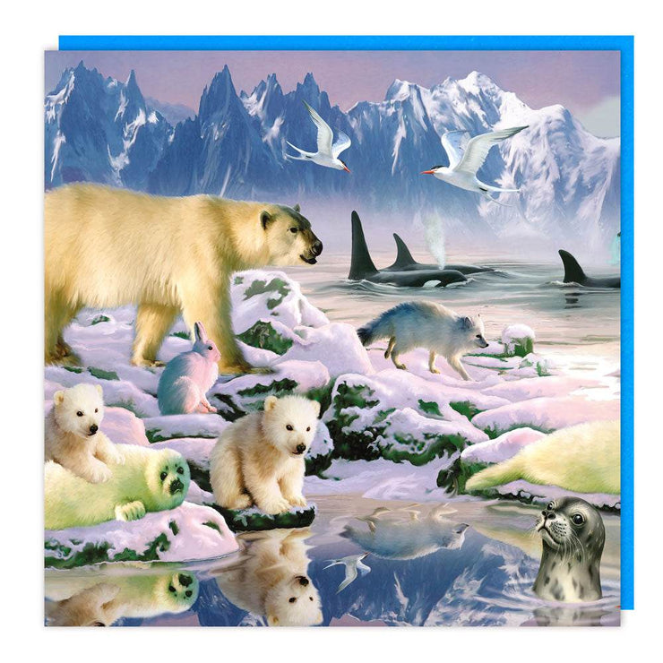 3D Arctic Party Birthday Card - House of Cards