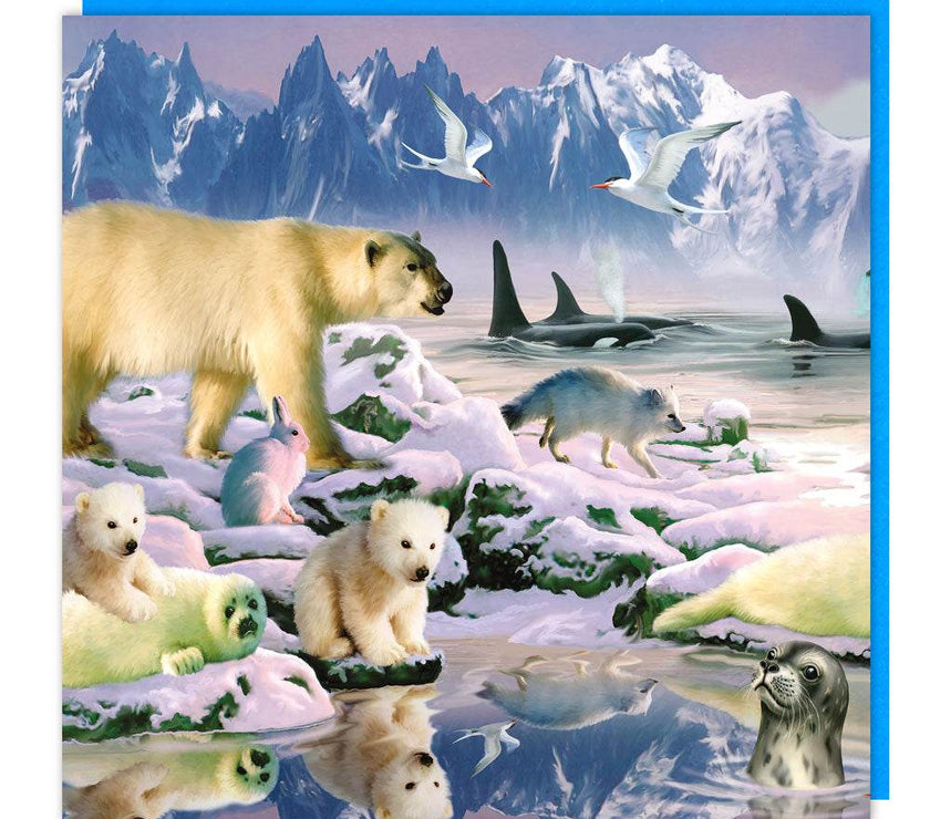 3D Arctic Party Birthday Card - House of Cards