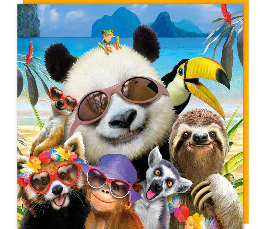 3D Panda and Friends Birthday Card - House of Cards