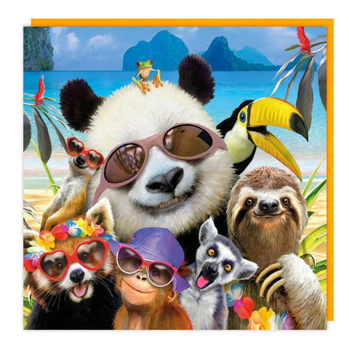 3D Panda and Friends Birthday Card - House of Cards