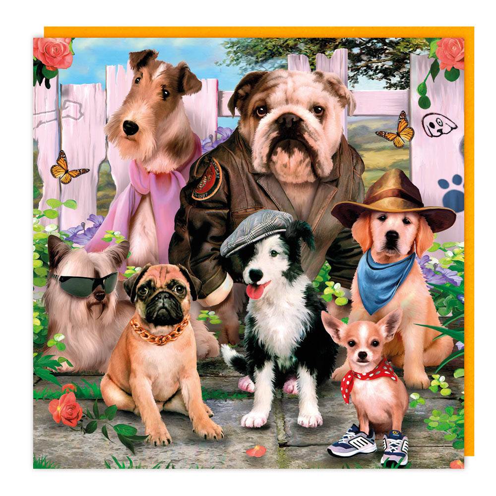 3D Dressed Hounds Birthday Card - House of Cards