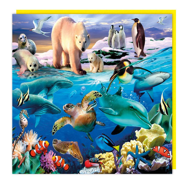 3D Ocean Views Birthday Card - House of Cards