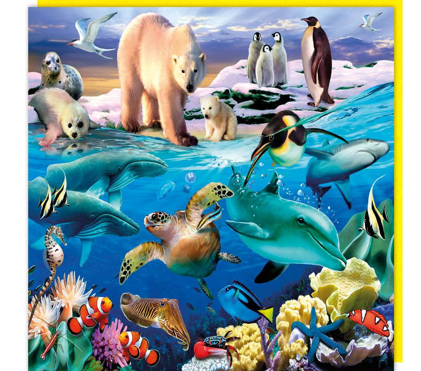 3D Ocean Views Birthday Card - House of Cards