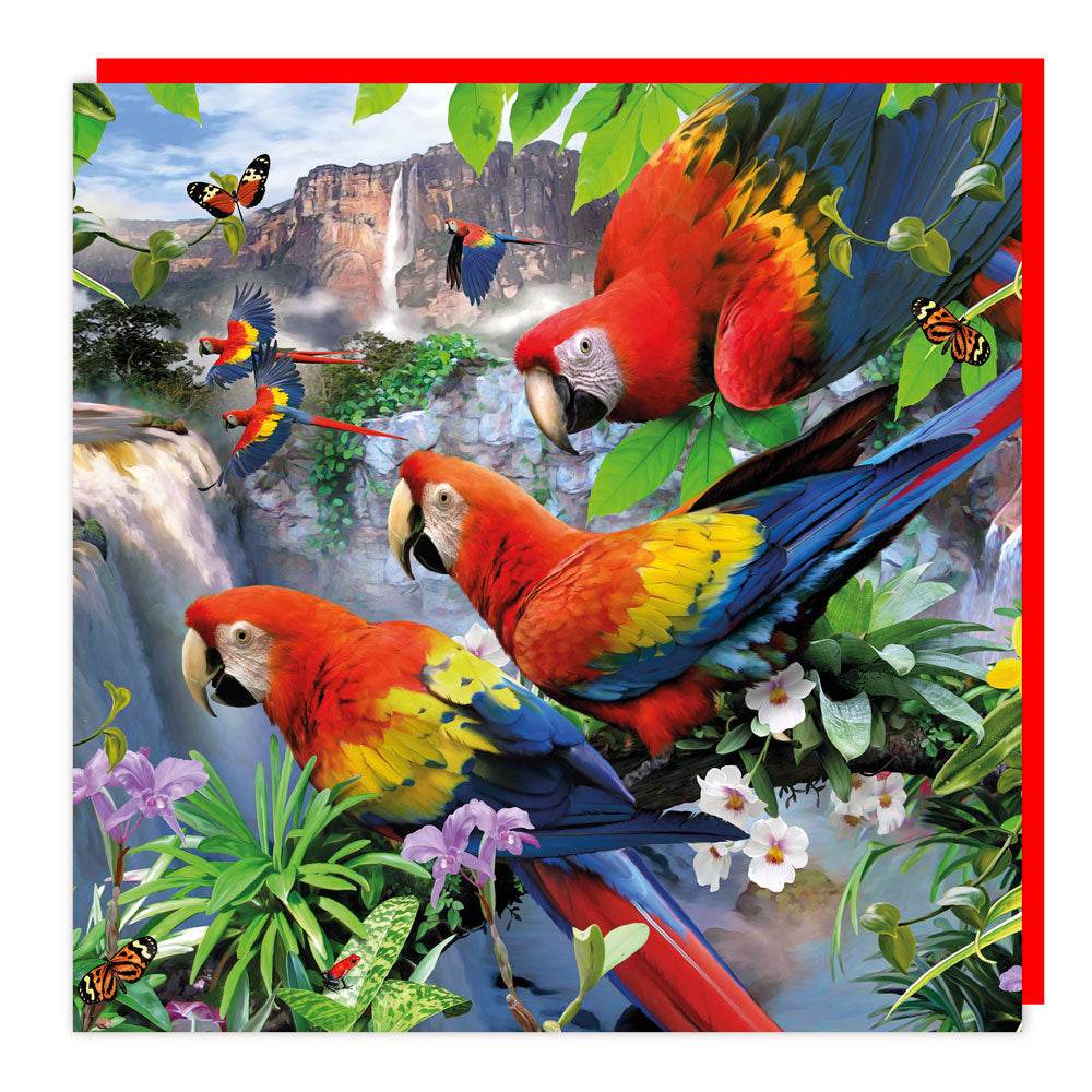 3D Pandemonium of Parrots Birthday Card - House of Cards