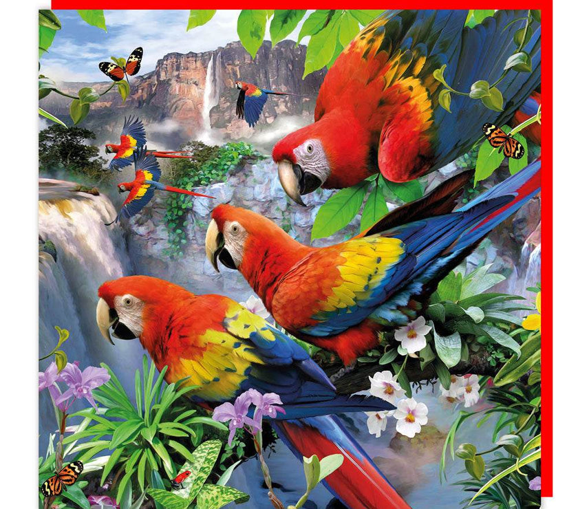 3D Pandemonium of Parrots Birthday Card - House of Cards