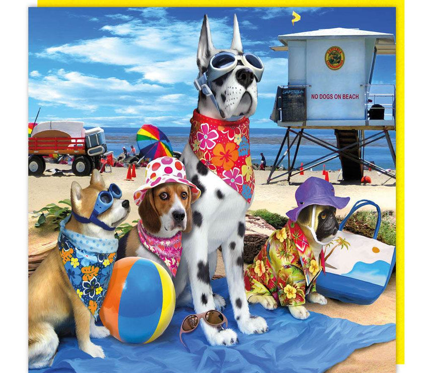3D Beach Dogs Birthday Card - House of Cards