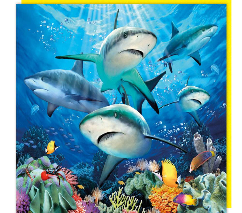 3D Sharks Birthday Card - House of Cards