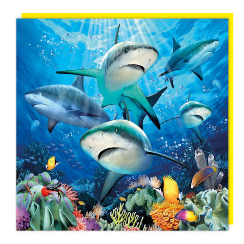 3D Sharks Birthday Card - House of Cards
