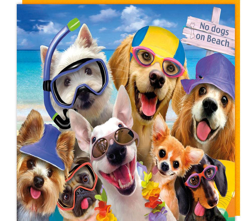3D Swimmer Dogs Birthday Card - House of Cards