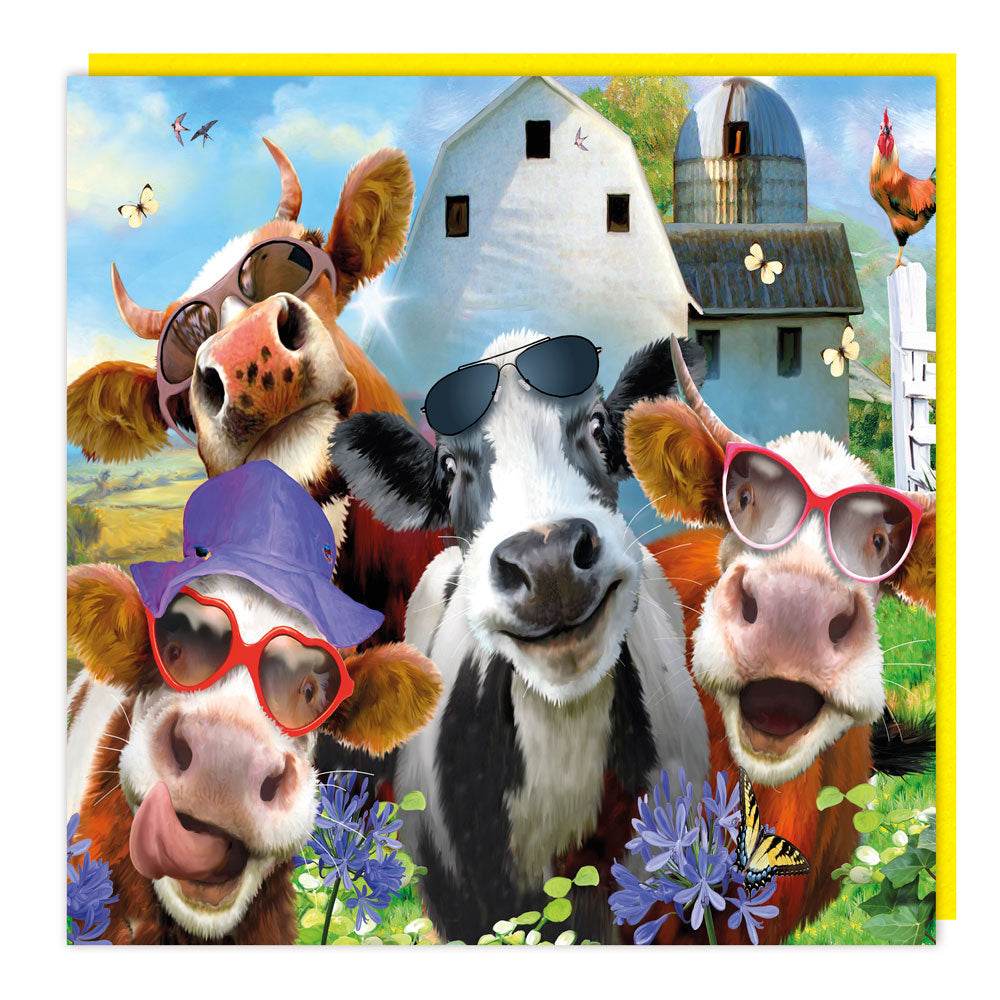 3D Cool Cows Birthday Card - House of Cards
