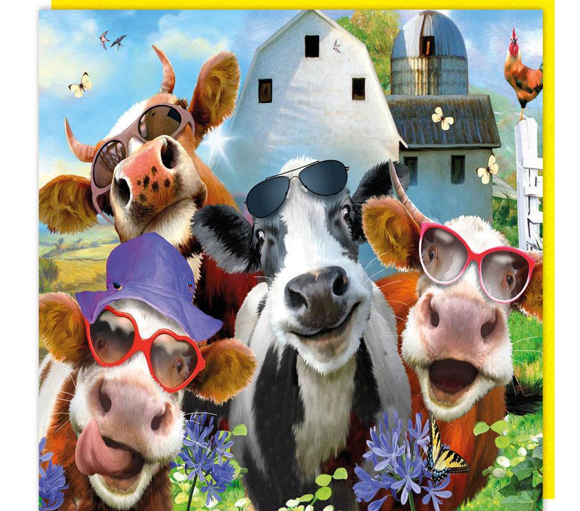 3D Cool Cows Birthday Card - House of Cards
