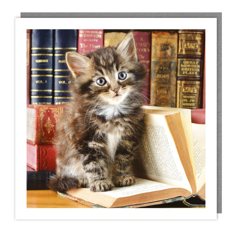 Cat on Book Greeting Card