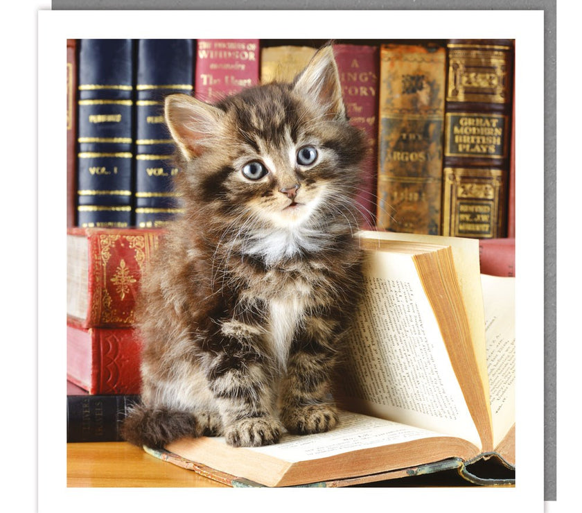 Cat on Book Greeting Card