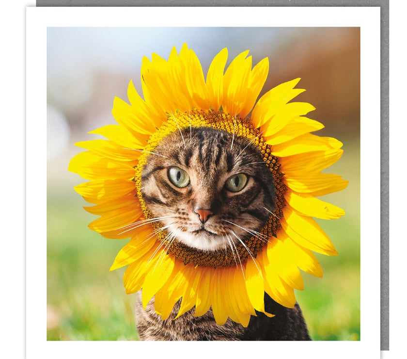 Sunflower Cat Birthday Card