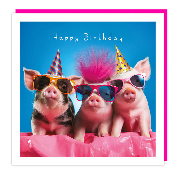 Fluff Pigs Cool Birthday Card