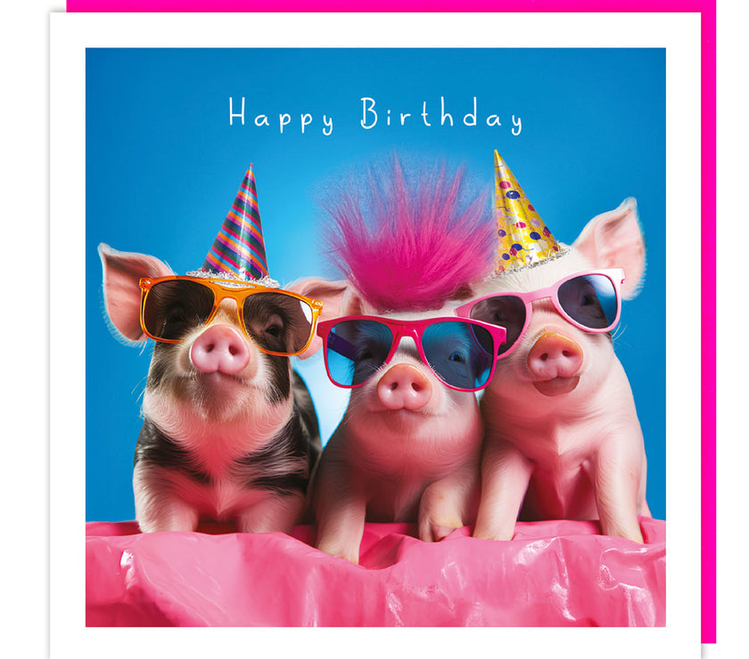 Fluff Pigs Cool Birthday Card