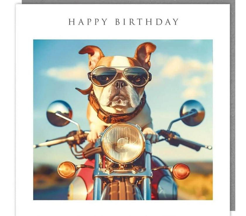 Dog on Bike Birthday Card