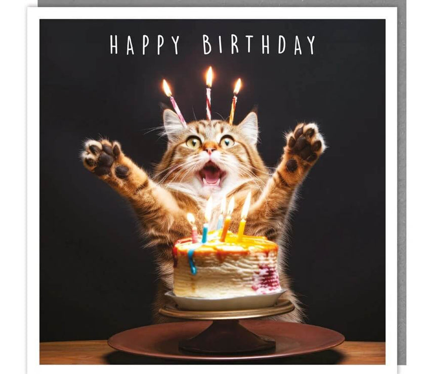 Cat and Cake Birthday Card