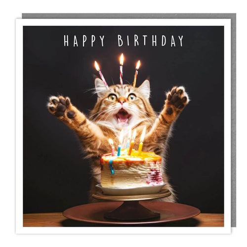 Cat and Cake Birthday Card