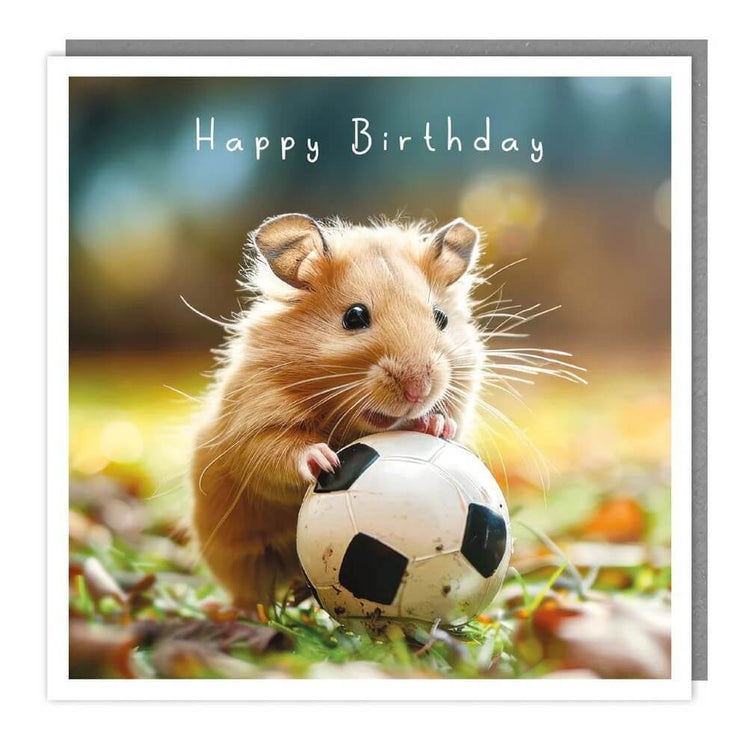 Hamster and Football Birthday Card