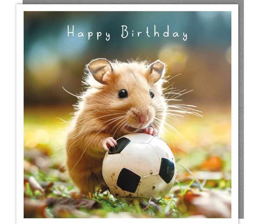 Hamster and Football Birthday Card