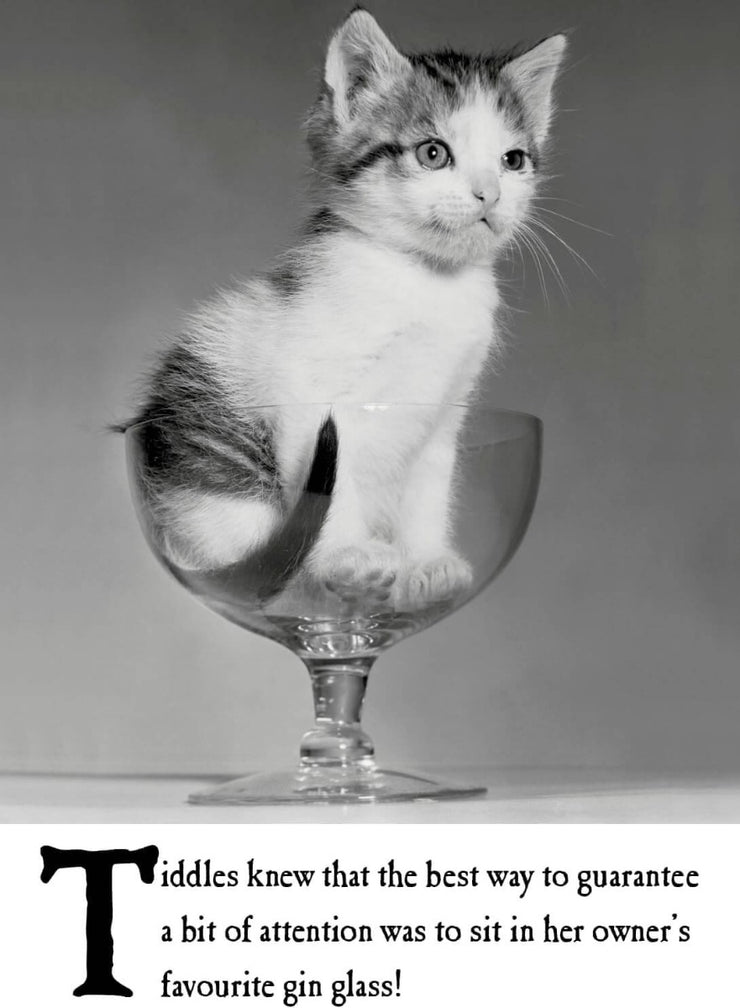 Gin Glass Birthday Card