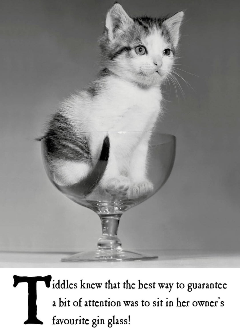 Gin Glass Birthday Card