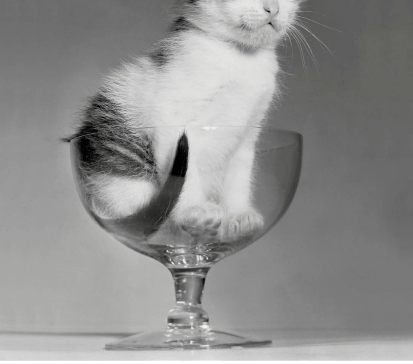 Gin Glass Birthday Card