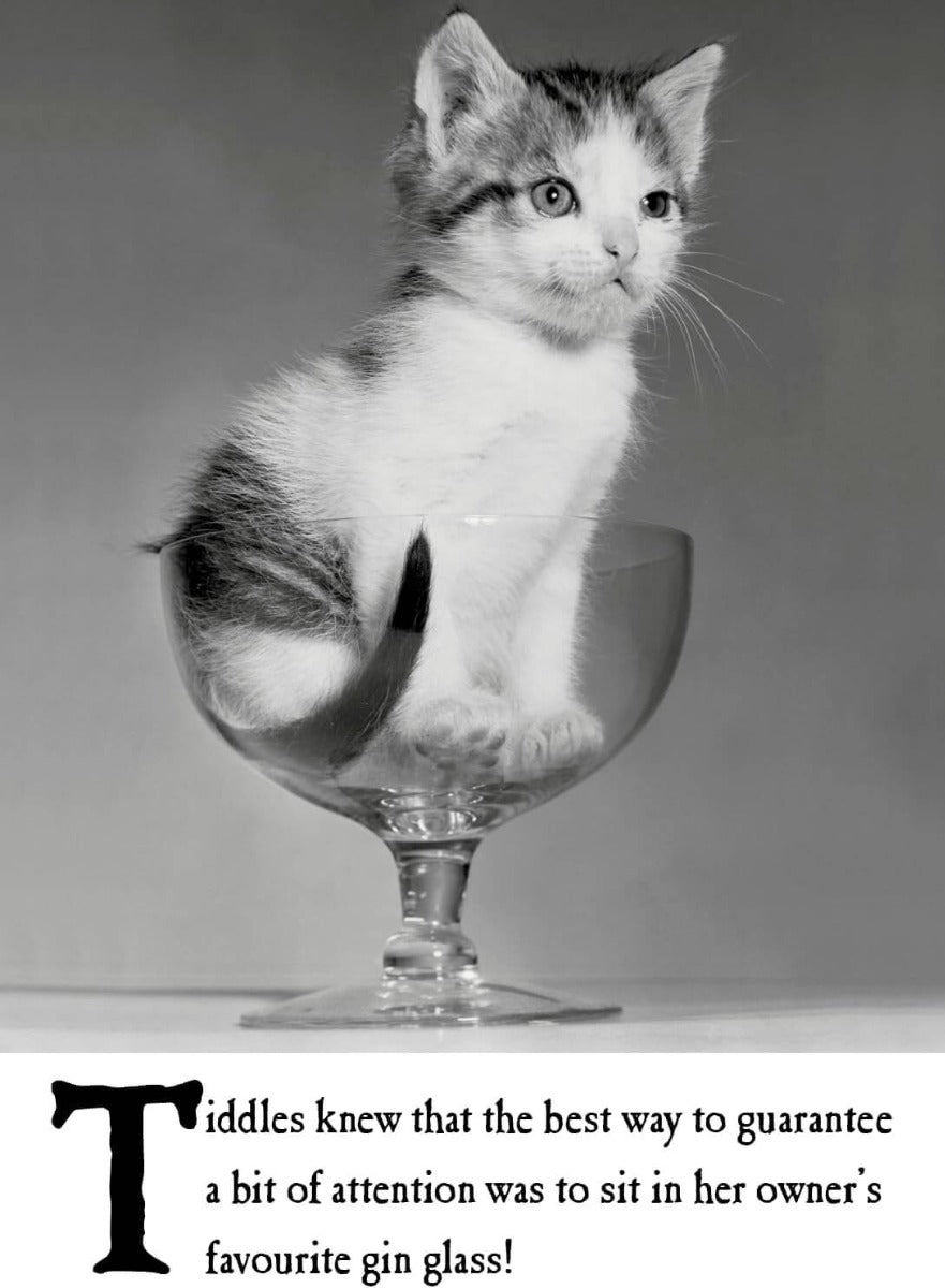 Gin Glass Birthday Card