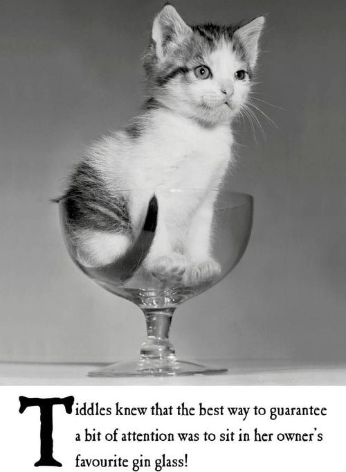 Gin Glass Birthday Card