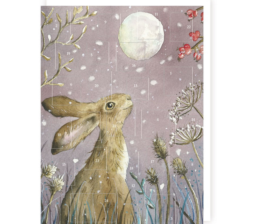 Moongazing Hare Advent Calendar