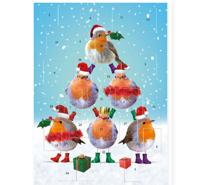 Robin Pyramid Advent Calendar