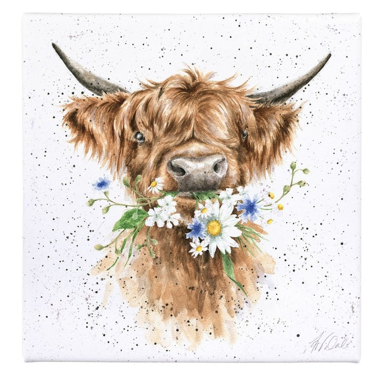 Daisy Cow Small Canvas