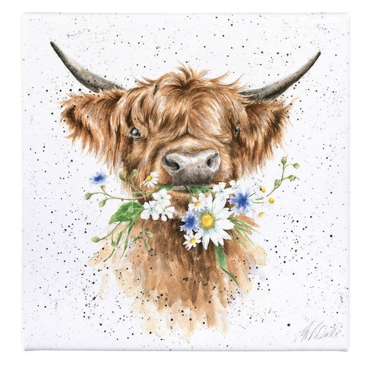 Daisy Cow Small Canvas