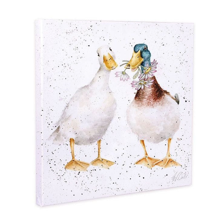 Daisy Ducks Small Canvas