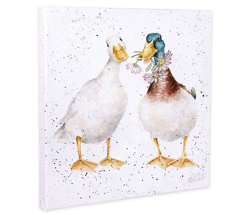 Daisy Ducks Small Canvas