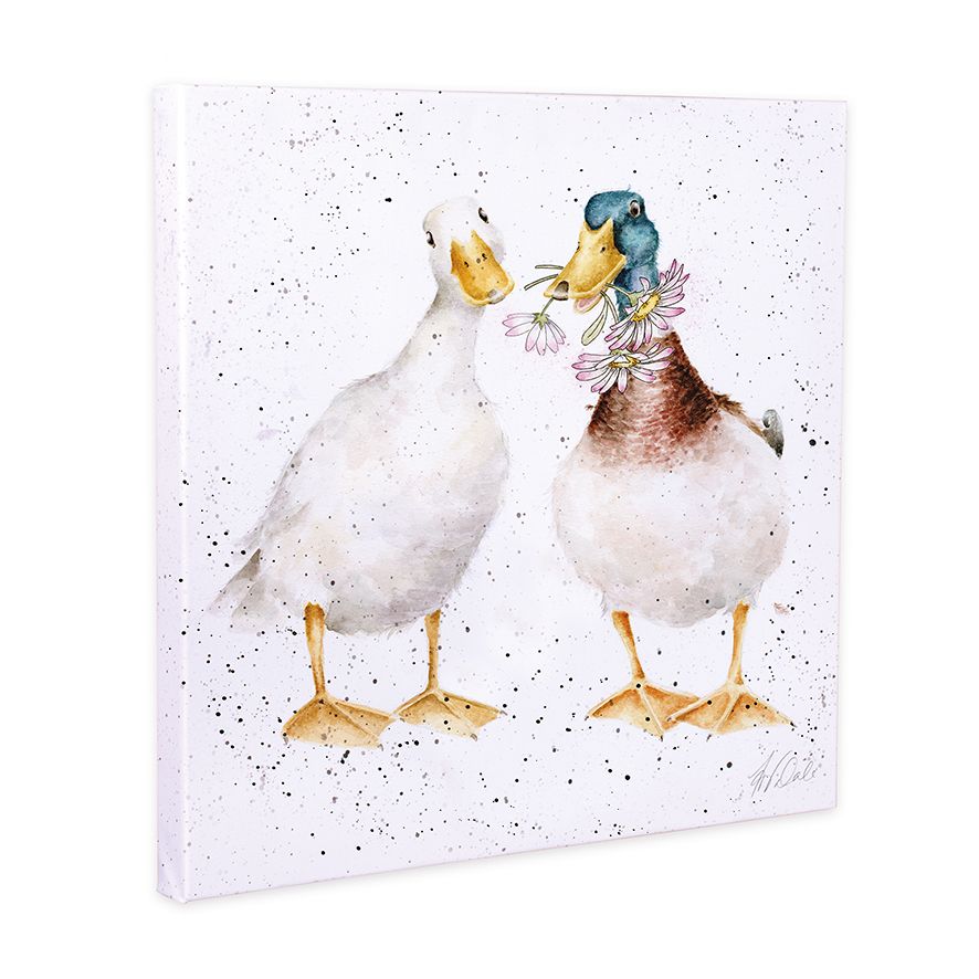 Daisy Ducks Small Canvas