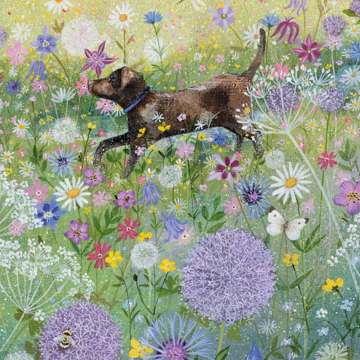 Dog in Summer Garden Greeting Card