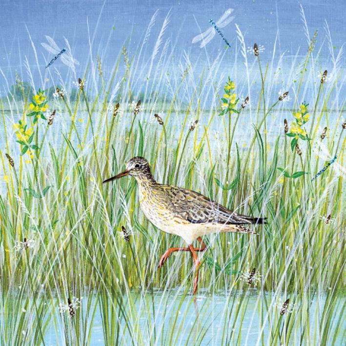 Wading Bird Greeting Card - House of Cards