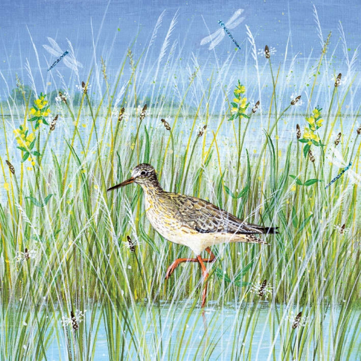 Wading Bird Greeting Card