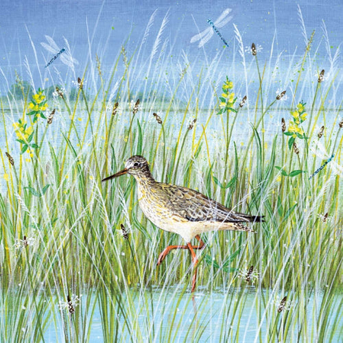Wading Bird Greeting Card
