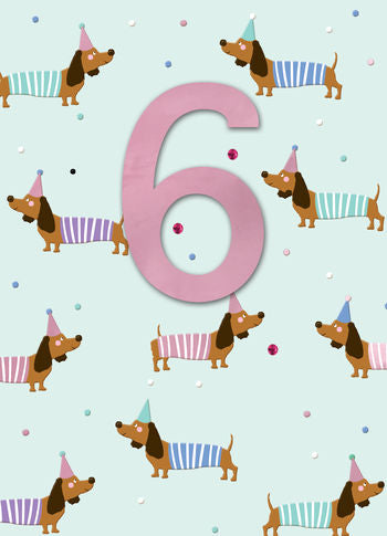 Crackerjack Dachshund 6th Birthday Card