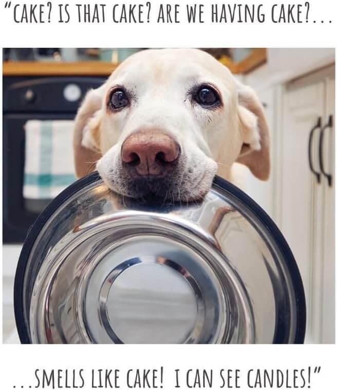 Cake Birthday Card - House of Cards