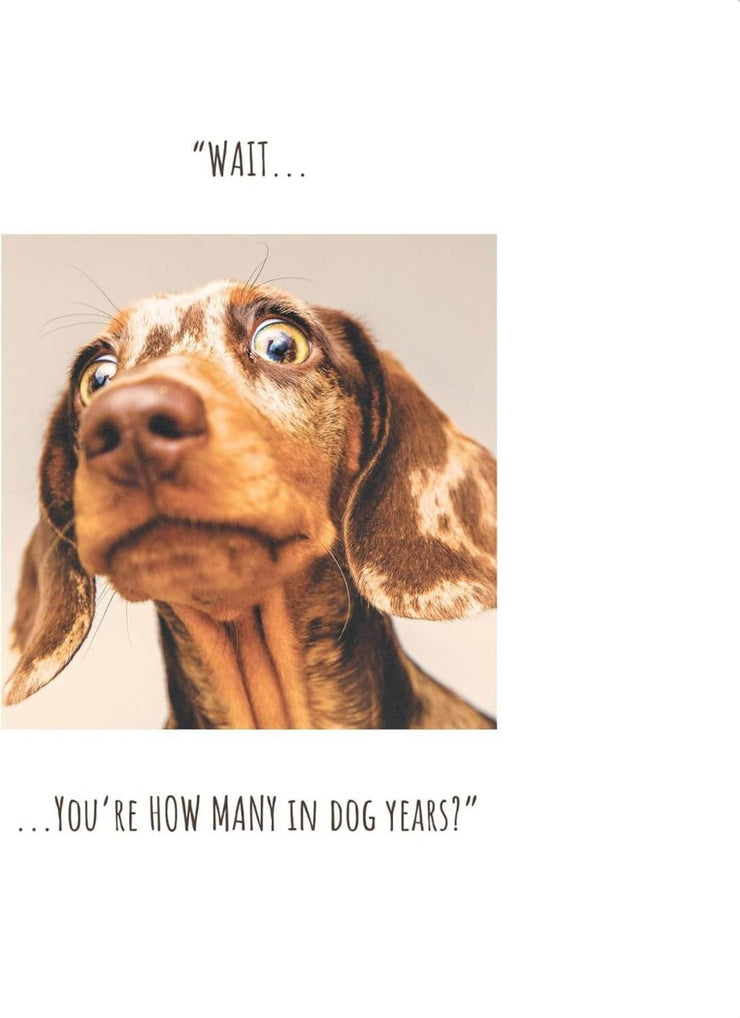 Dog Years Birthday Card