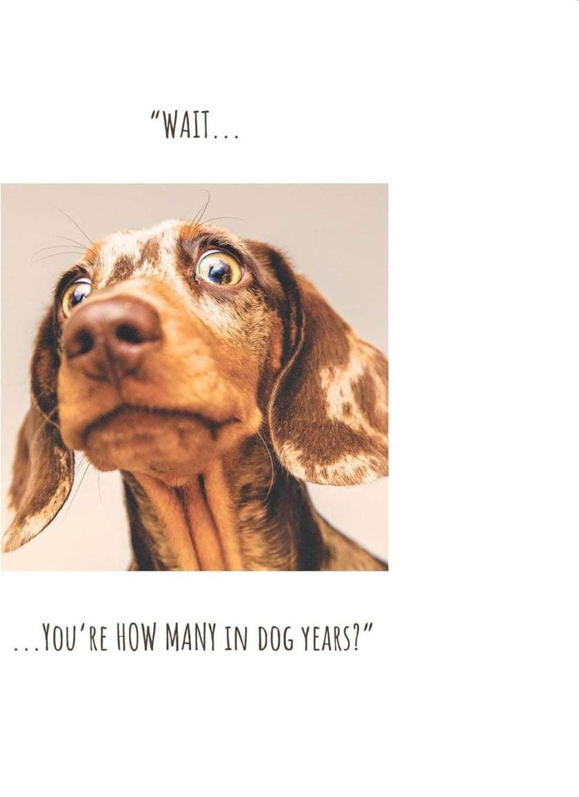 Dog Years Birthday Card