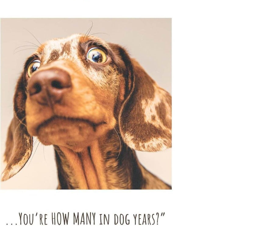 Dog Years Birthday Card