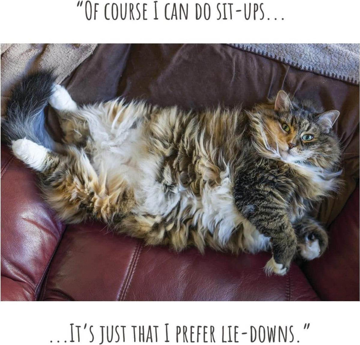 Sit Ups Birthday Card - House of Cards